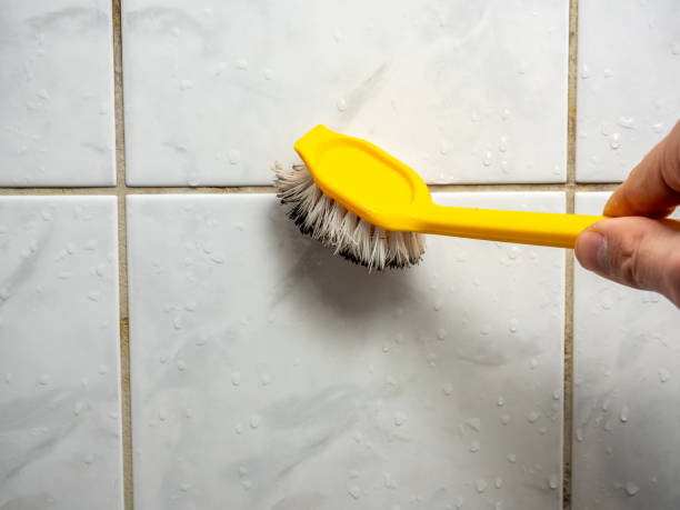 Mold Testing and Removal in Alhambra, CA