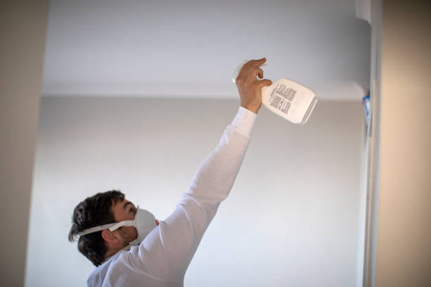 Best Residential Mold Removal  in Alhambra, CA