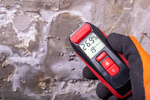 Reliable Alhambra, CA Mold Removal Solutions