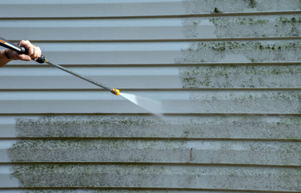 Home Mold Removal in Alhambra, CA