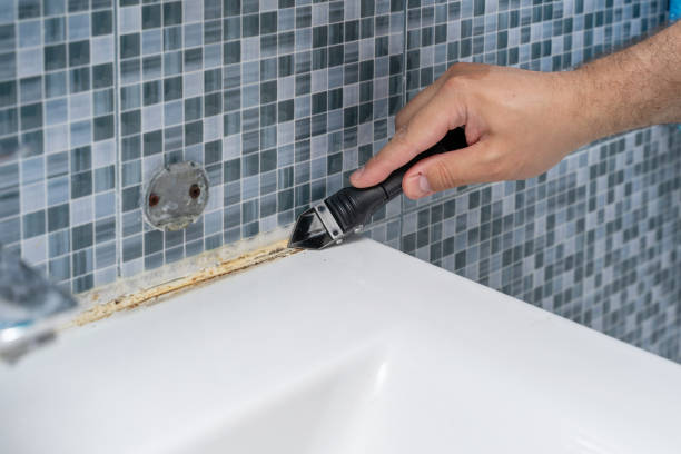 Best Mold Testing  in Alhambra, CA
