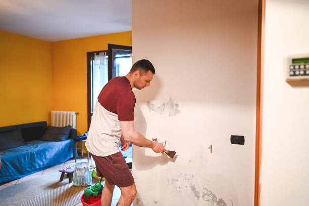 Best Best Mold Removal Companies  in Alhambra, CA